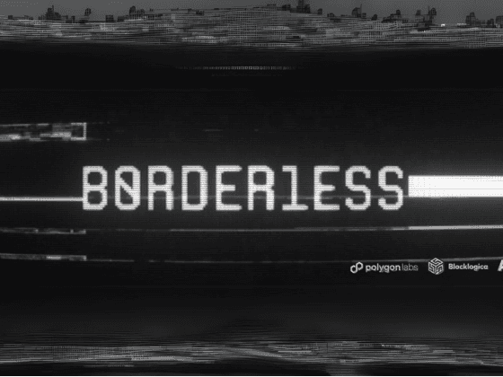 b0rder1ess project visual